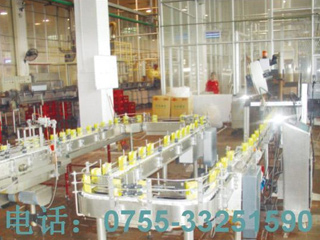 Lile Bag Conveyor Line