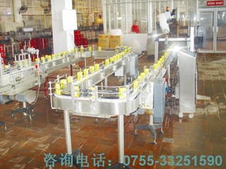 Lile Bag Conveyor Line